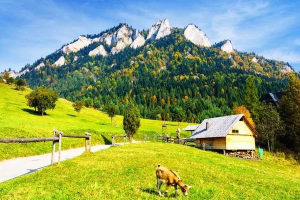 Road Leading Trzy Korony Three Crowns Peak Pieniny National Park — Fotografia de Stock