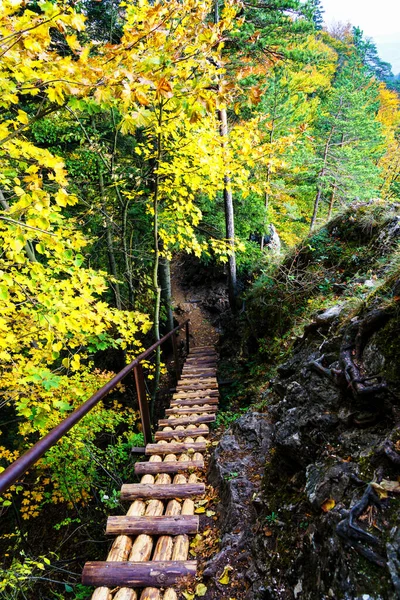 Caminho Parque Nacional Das Montanhas Pieniny Polônia — Fotografia de Stock