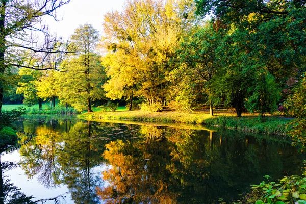 Vackert Landskap Hösten Löven Faller Pszczyna Park Polen — Stockfoto