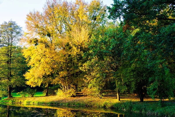 Vackert Landskap Hösten Löven Faller Pszczyna Park Polen — Stockfoto