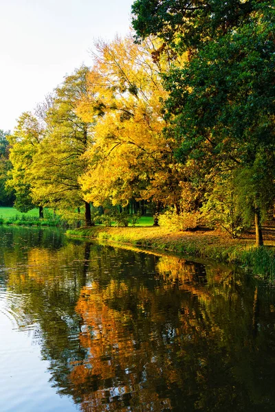 秋天的美丽风景落叶时落在波兰的普斯齐纳公园 — 图库照片