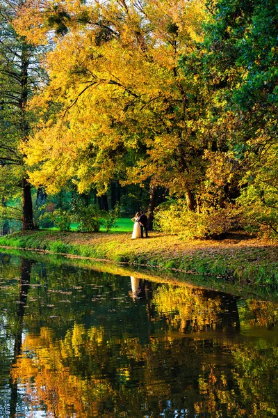 Vackert Landskap Hösten Löven Faller Pszczyna Park Polen — Stockfoto