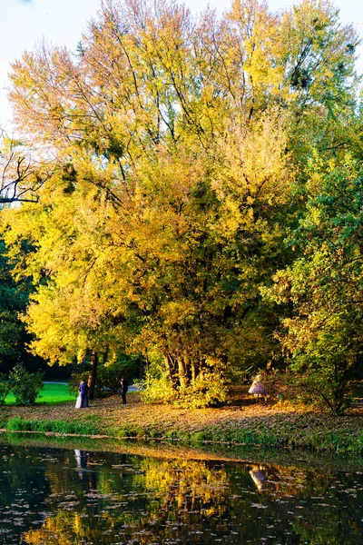 Krásná Scenérie Podzim Během Opadávání Listí Pszczyna Parku Polsko — Stock fotografie