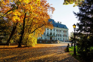PSZCZYNA, POLAND - OCT 11, 2018: Polonya 'nın Pszczyna kasabasındaki kale. Güzel antika neo barok kale. Sonbahar zamanı.