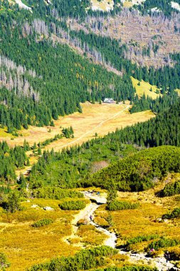 Yüksek Tatras Dağları (Vysoke Tatry, Tatry Wysokie, Magas-Tatra), Polonya 'nın güneyinde, Presov bölgesinde Slovakya sınırı boyunca uzanan bir sıradağdır..