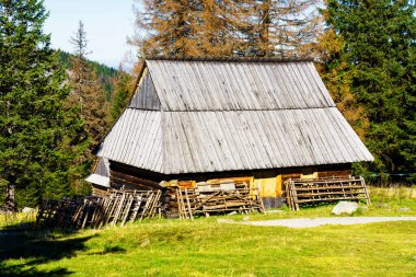 Polonya Tatra Dağları Ulusal Parkı 'ndaki Shepherd' ın kulübesi. Kulübeler koyun beslemek ve geleneksel İskoç peyniri üretmek için kullanılır - oscypki veya oscypek..