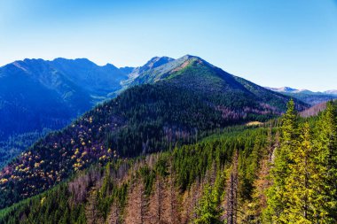 Yüksek Tatras Dağları (Vysoke Tatry, Tatry Wysokie, Magas-Tatra), Polonya 'nın güneyinde, Presov bölgesinde Slovakya sınırı boyunca uzanan bir sıradağdır..