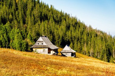 Gasienicowa Vadisi 'ndeki dağ kulübesi, Tatra Dağları, Polonya.