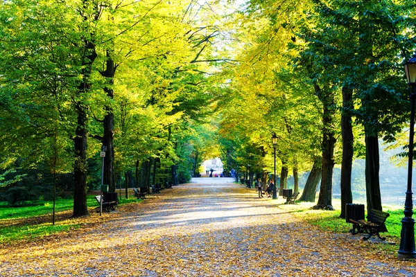 Pszczyna ポーランド 2018年10月11日 葉の間の秋の美しい路地秋 — ストック写真