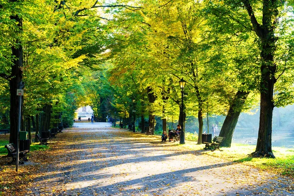 Pszczyna Poland Oct 2018 Beautifull Alley Autumn Leaves Fall — 图库照片