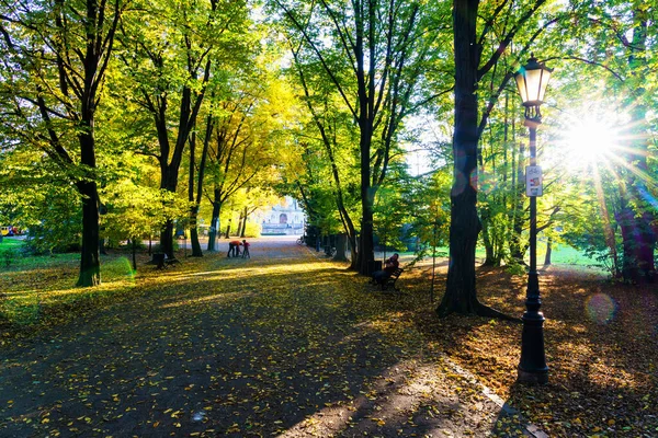 Pszczyna Polsko Oct 2018 Krásná Ulička Podzim Během Podzimu Listí — Stock fotografie