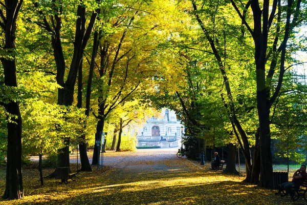 Pszczyna Poland Okt 2018 Vackert Gränd Hösten Löven Faller — Stockfoto