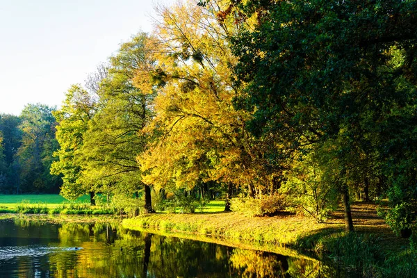 Cenário Bonito Outono Durante Queda Das Folhas Parque Pszczyna Polônia — Fotografia de Stock