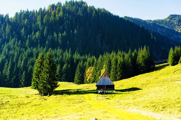 Schäferhütte Nationalpark Polnische Tatra Hütten Werden Benutzt Schafe Halten Und — Stockfoto