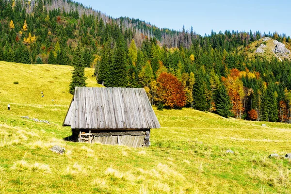 Cabane Berger Dans Parc National Des Monts Tatra Polonais Les — Photo