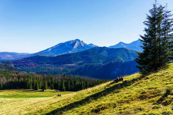 Hoge Tatra Hongaars Vysoke Tatry Een Bergketen Het Poolse Woiwodschap — Stockfoto