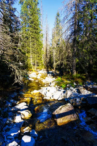 Magas Tátra Vysoke Tatry Tatry Wysokie Magas Tatra Egy Hegyvonulat — Stock Fotó