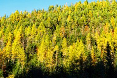 Yüksek Tatras Dağları (Vysoke Tatry, Tatry Wysokie, Magas-Tatra), Polonya 'nın güneyinde, Presov bölgesinde Slovakya sınırı boyunca uzanan bir sıradağdır..