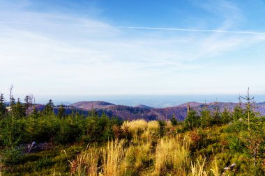 Polonya Beskidy dağlarında yeşillik renkleri, Beskid Slaski, Polonya