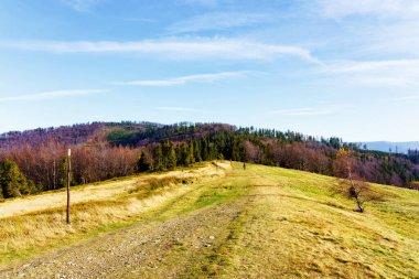 Polonya Beskidy dağlarında yeşillik renkleri, Beskid Slaski, Polonya