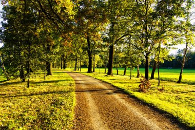 Sonbaharda yapraklar dökülürken güzel bir ara sokak.