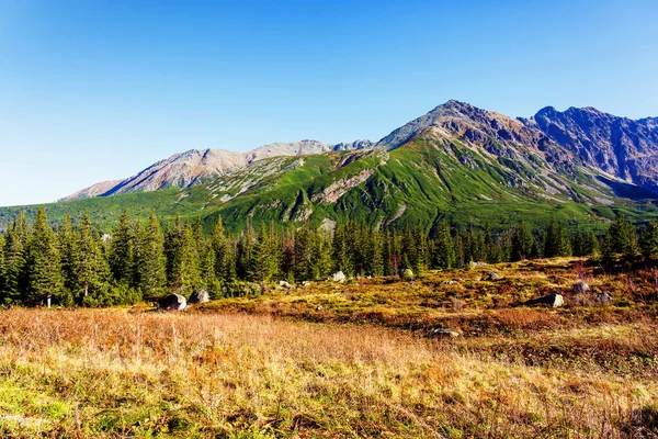 Les Hautes Tatras Vysoke Tatry Tatry Wysokie Magas Tatra Sont — Photo