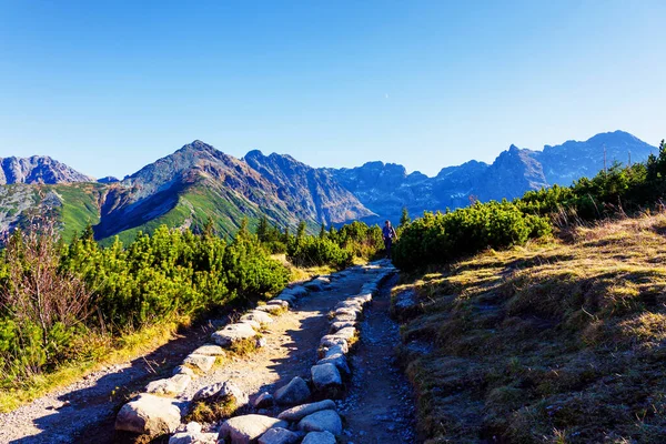 Magas Tátra Vysoke Tatry Tatry Wysokie Magas Tatra Egy Hegyvonulat — Stock Fotó