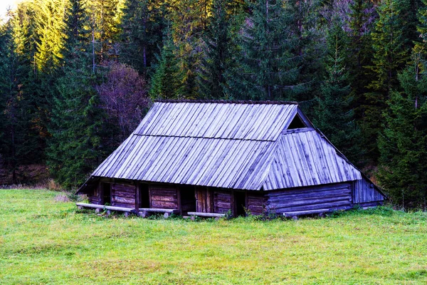 Rumah Penampungan Gunung Taman Nasional Pegunungan Tatra Lembah Jaworzynka Polandia — Stok Foto