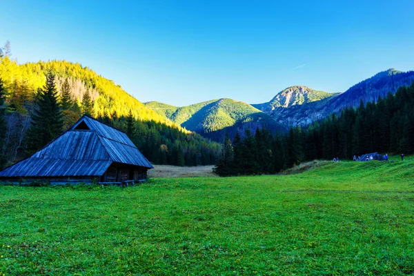 Shepherd Hydda Polska Tatrabergen Nationalpark Hyddor Används För Att Hålla — Stockfoto