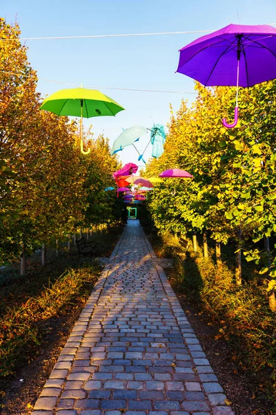 Ulička Parku Visícími Deštníky Shora — Stock fotografie