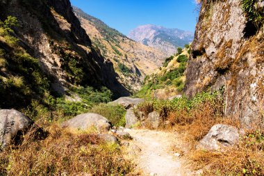 Nepal 'de popüler bir turizm beldesi olan Annapurna Circuit Trail' in panoramik manzarası. Thorong La ya da Thorung La geçidine ana kampa giden yol..