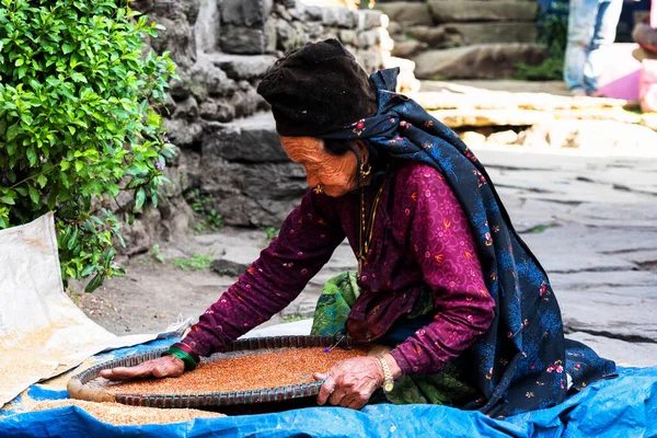 Annapurna Circuit Trail Nepal Dec 2018 Žena Horského Kmene Zasáhne — Stock fotografie