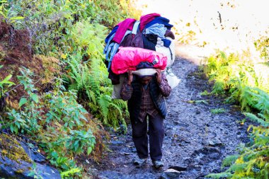 ANNAPURNA CIRCUIT, NEPAL - 25 Kasım 2018: Nepal 'in uzak bölgelerinde bagaj, yaprak ve inşaat malzemeleri taşıyan hamallar. Mal taşımak Nepal 'de popüler bir ulaşım yoludur.