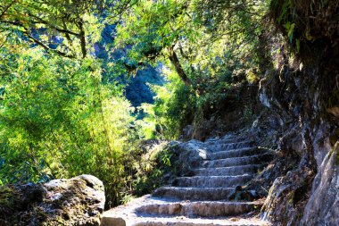 Nepal Himalaya dağlarında Annapurna Pisti 'ndeki patika - Nepal' de popüler turizm merkezi ve yürüyüş parkuru