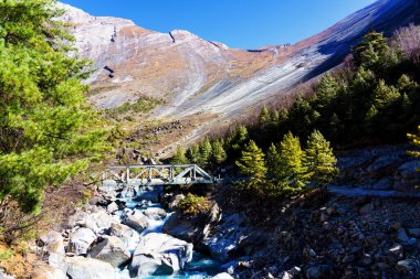 Nepal 'de popüler bir turizm beldesi olan Annapurna Circuit Trail' in panoramik manzarası. Thorong La ya da Thorung La geçidine ana kampa giden yol..