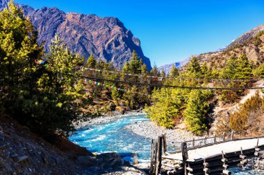 Nepal 'de popüler bir turizm beldesi olan Annapurna Circuit Trail' in panoramik manzarası. Thorong La ya da Thorung La geçidine ana kampa giden yol..