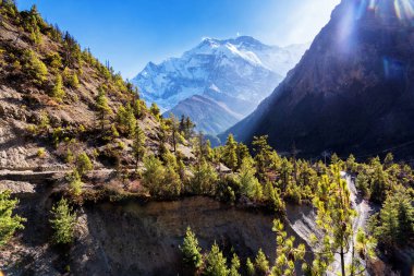 Nepal 'de popüler bir turizm beldesi olan Annapurna Circuit Trail' in panoramik manzarası. Thorong La ya da Thorung La geçidine ana kampa giden yol..
