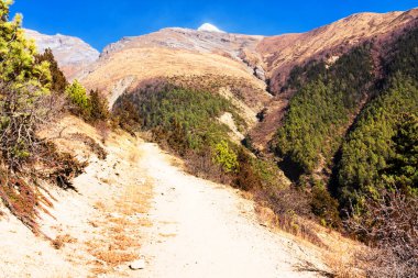 Nepal 'de popüler bir turizm beldesi olan Annapurna Circuit Trail' in panoramik manzarası. Thorong La ya da Thorung La geçidine ana kampa giden yol..
