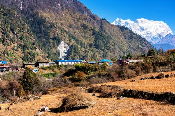 Himalayalar Daki Annapurna Pisti Nepal Küçük Bir Kasaba Bir Yerleşim — Stok fotoğraf