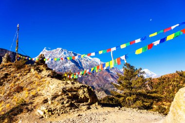 Nepal 'de popüler bir turizm beldesi olan Annapurna Circuit Trail' in panoramik manzarası. Thorong La ya da Thorung La geçidine. Rüzgarda dalgalanan renkli Budist bayraklarıyla.