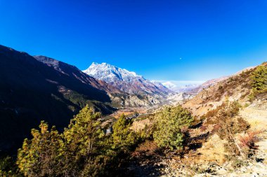 Nepal 'de popüler bir turizm beldesi olan Annapurna Circuit Trail' in panoramik manzarası. Thorong La ya da Thorung La geçidine ana kampa giden yol..