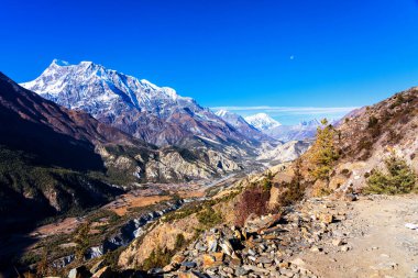 Nepal 'de popüler bir turizm beldesi olan Annapurna Circuit Trail' in panoramik manzarası. Thorong La ya da Thorung La geçidine ana kampa giden yol..