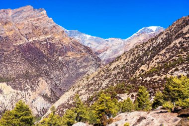 Nepal 'de popüler bir turizm beldesi olan Annapurna Circuit Trail' in panoramik manzarası. Thorong La ya da Thorung La geçidine ana kampa giden yol..