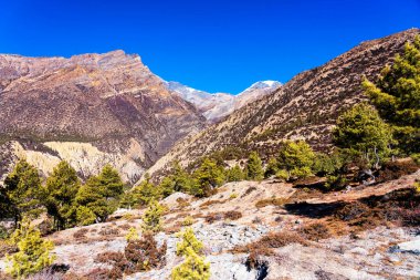 Nepal 'de popüler bir turizm beldesi olan Annapurna Circuit Trail' in panoramik manzarası. Thorong La ya da Thorung La geçidine ana kampa giden yol..