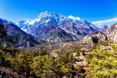 Nepal 'de popüler bir turizm beldesi olan Annapurna Circuit Trail' in panoramik manzarası. Thorong La ya da Thorung La geçidine ana kampa giden yol..
