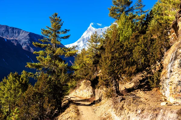 Vistas Panorámicas Popular Sendero Turístico Nepal Circuito Annapurna Camino Campamento — Foto de Stock