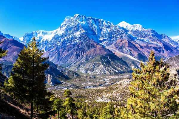 Vues Panoramiques Sur Sentier Touristique Populaire Népal Circuit Annapurna Chemin — Photo