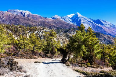 Nepal 'de popüler bir turizm beldesi olan Annapurna Circuit Trail' in panoramik manzarası. Thorong La ya da Thorung La geçidine ana kampa giden yol..