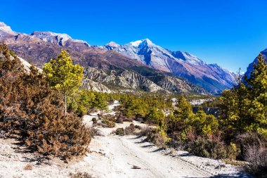 Nepal 'de popüler bir turizm beldesi olan Annapurna Circuit Trail' in panoramik manzarası. Thorong La ya da Thorung La geçidine ana kampa giden yol..