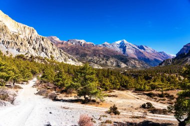 Nepal 'de popüler bir turizm beldesi olan Annapurna Circuit Trail' in panoramik manzarası. Thorong La ya da Thorung La geçidine ana kampa giden yol..